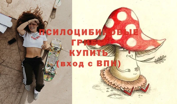 кокс Алексеевка