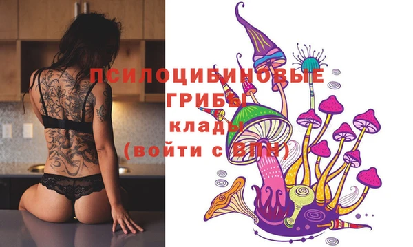 героин Алзамай