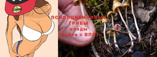кокс Алексеевка