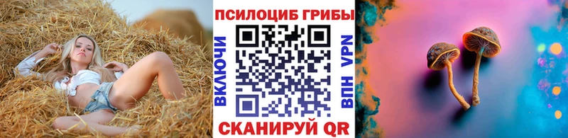 Галлюциногенные грибы Cubensis  Киселёвск 